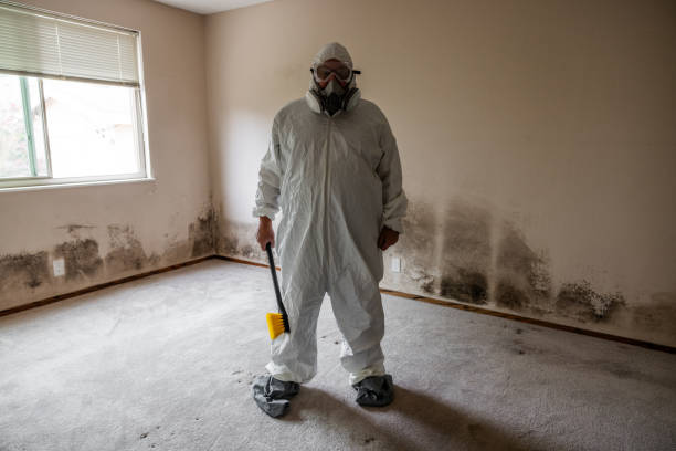 Best Localized Mold Remediation (e.g., coastal areas, humid climates) in Camano, WA